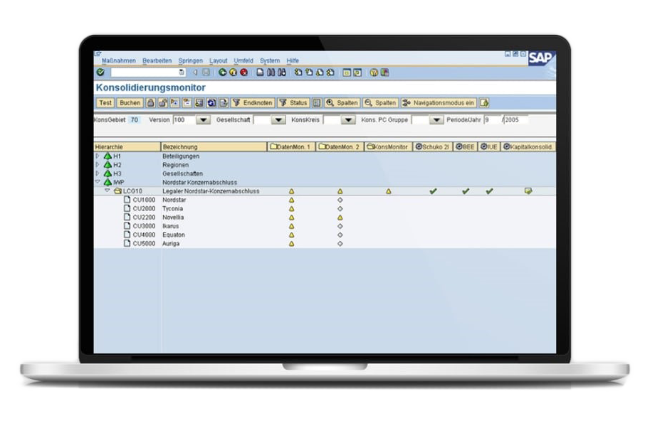 SAP consolidation monitor